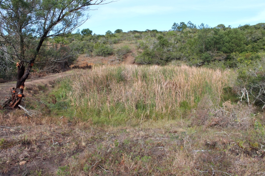 1 Bedroom Property for Sale in Bathurst Rural Eastern Cape